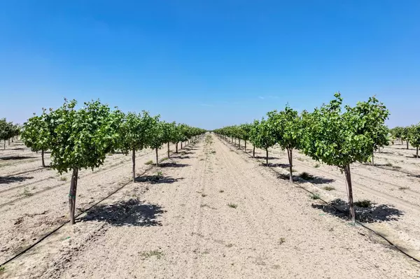 Selma, CA 93662,16495 S Minnewawa Avenue