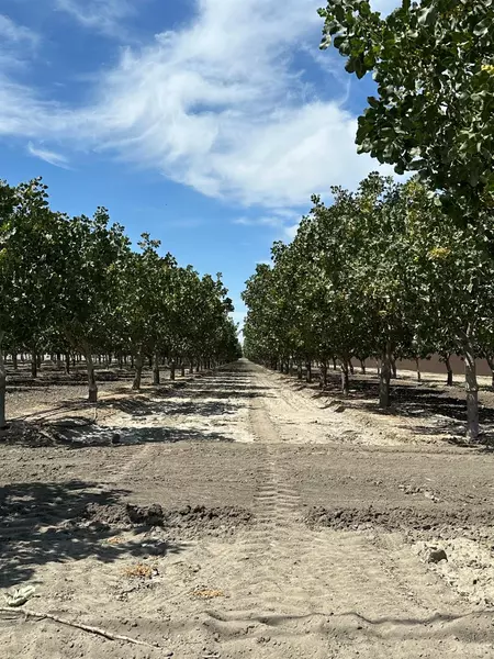 0 Lansing Ave, Lemoore, CA 93245