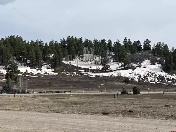 Pagosa Springs, CO 81147,61 Hills Circle