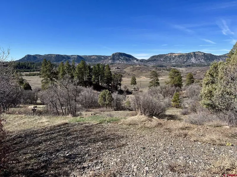 175 E Arbol Dr., Chromo, CO 81128