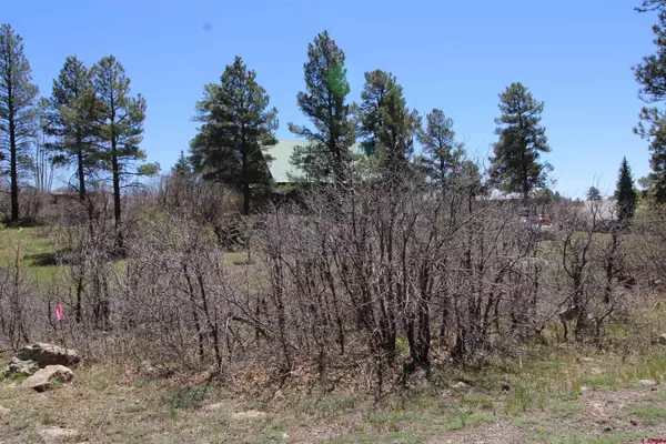 Pagosa Springs, CO 81147,685 Caddy Circle