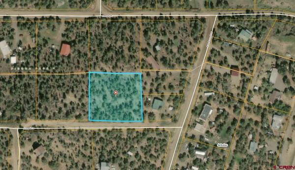 57 Summit Drive, Arboles, CO 81121