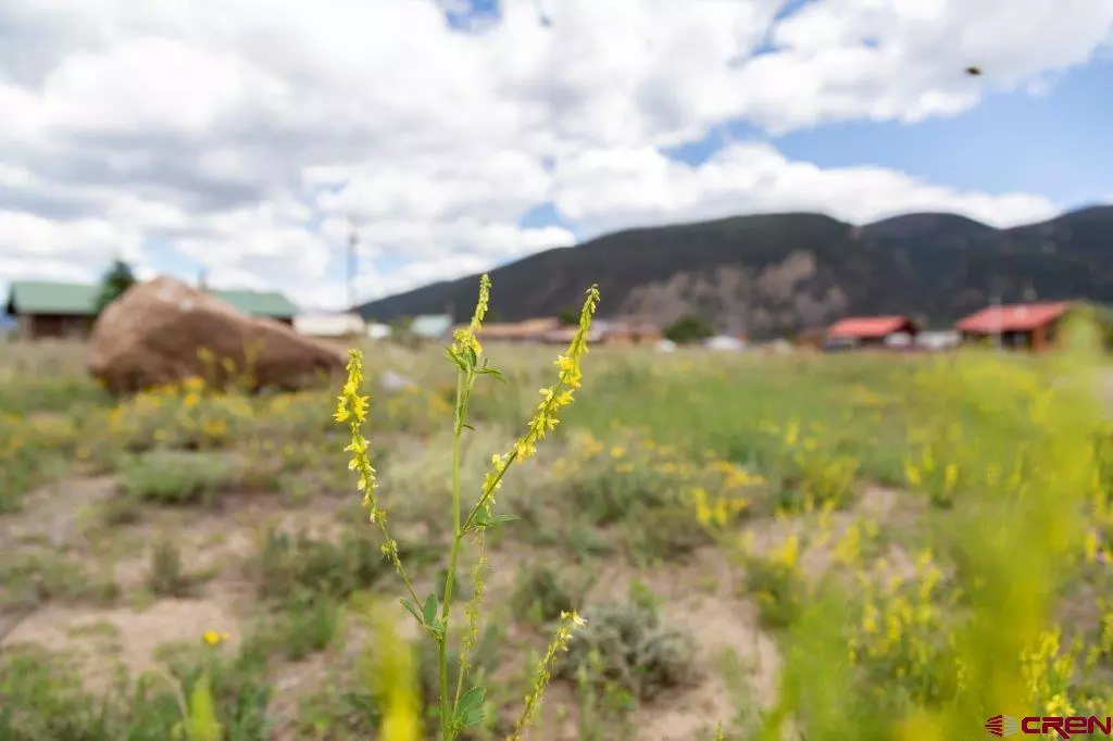 Creede, CO 81130,461 W Pine Drive