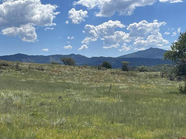 1174 W Arbol Park Drive, Chromo, CO 81147