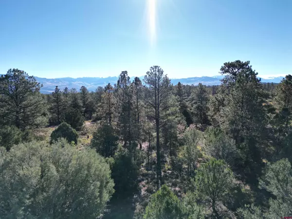 Ridgway, CO 81432,LOT 556 N BADGER Trail