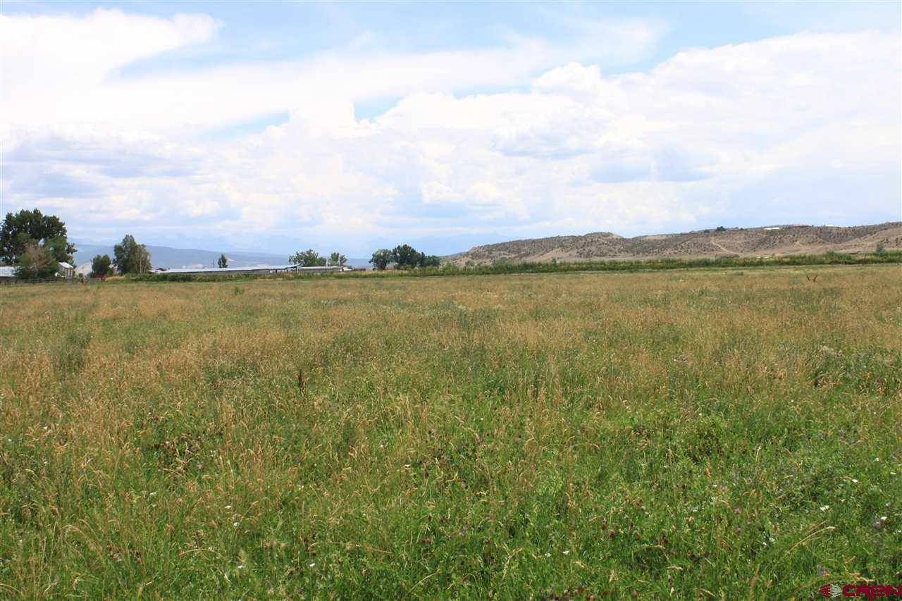 Montrose, CO 81403,TBD 6600 Road