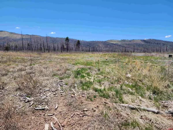 Fort  Garland, CO 81133,1288 Claytor Lane