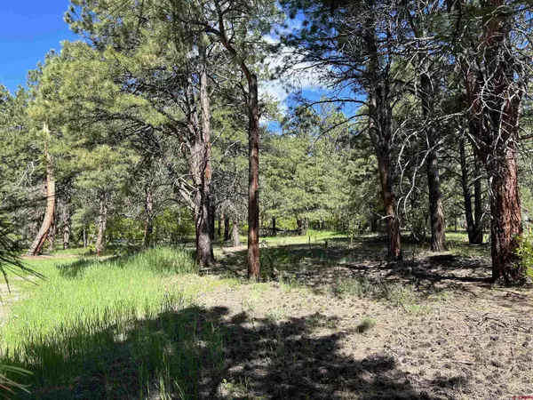 Pagosa Springs, CO 81147,39 W Nebo Court