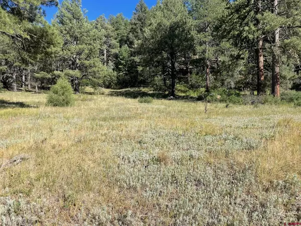 Pagosa Springs, CO 81147,Lot 110 LL Winterwood