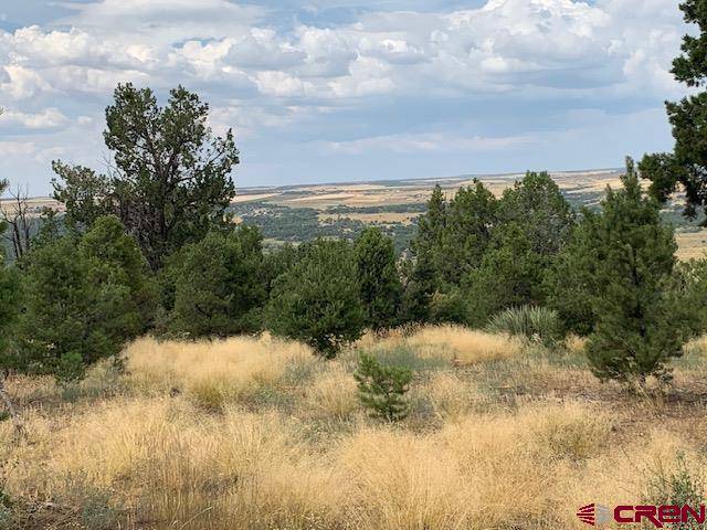 Lot 23 Road V.4,  Dolores,  CO 81323
