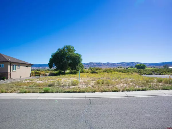 Montrose, CO 81401,Lot 74A Honey Locust