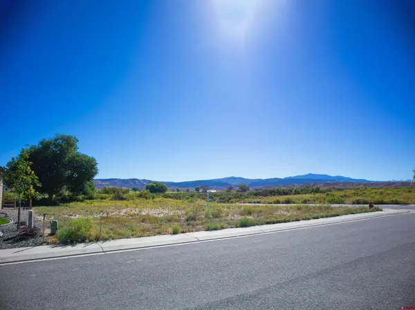 Montrose, CO 81401,Lot 74A Honey Locust