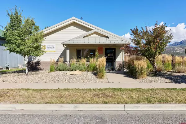 672 N Cora Street, Ridgway, CO 81432