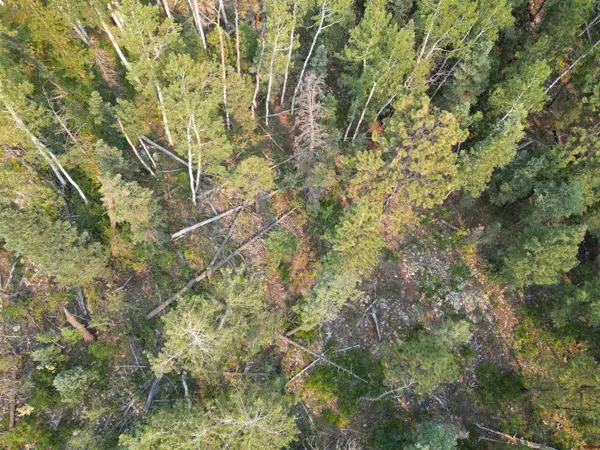 Durango, CO 81301,48 Ponderosa Way