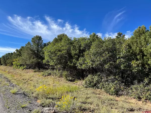 Ridgway, CO 81432,Lot 13 Ponderosa Drive