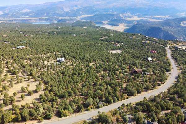 Ridgway, CO 81432,Lot 10 Pine Drive