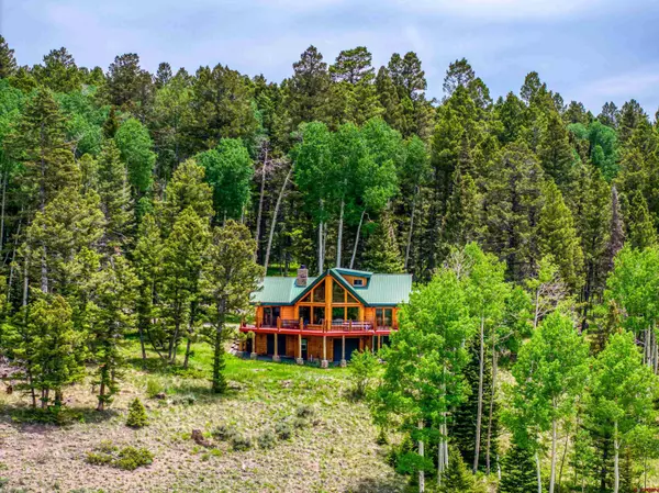 775 Ponderosa Way, Cimarron, CO 81220