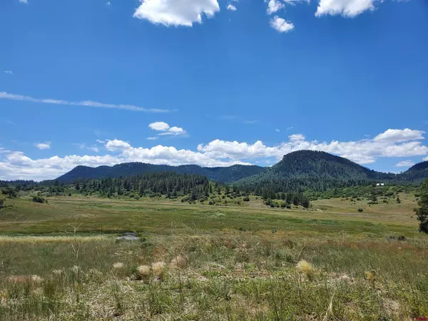 Chromo, CO 81128,213 Spring Creek Circle