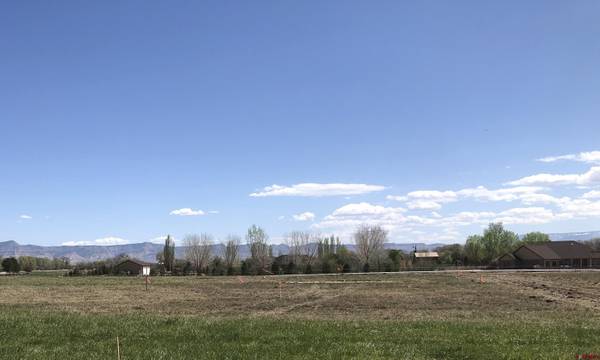 1217 (Lot 5) Lazy V Lane, Fruita, CO 81521