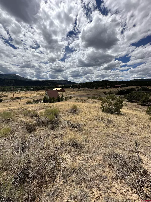 South Fork, CO 81154,377 Milner Pass Road