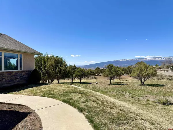 Cedaredge, CO 81413,24780 Sorrento Lane