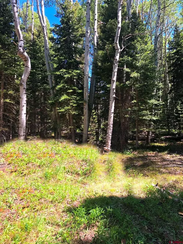 Cimarron, CO 81220,185 Aspen Trail