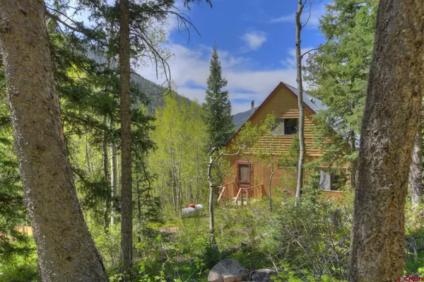 Hesperus, CO 81326,8119 County Road 124