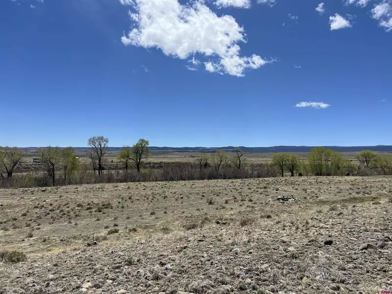 Lot 32 Block A, Capulin, CO 81140