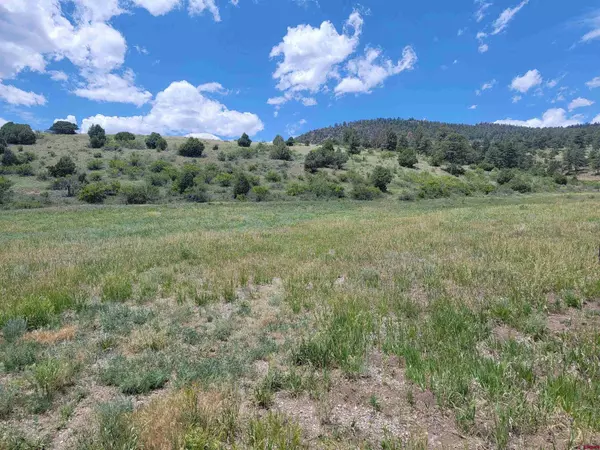 South Fork, CO 81154,819 Bear Creek Circle