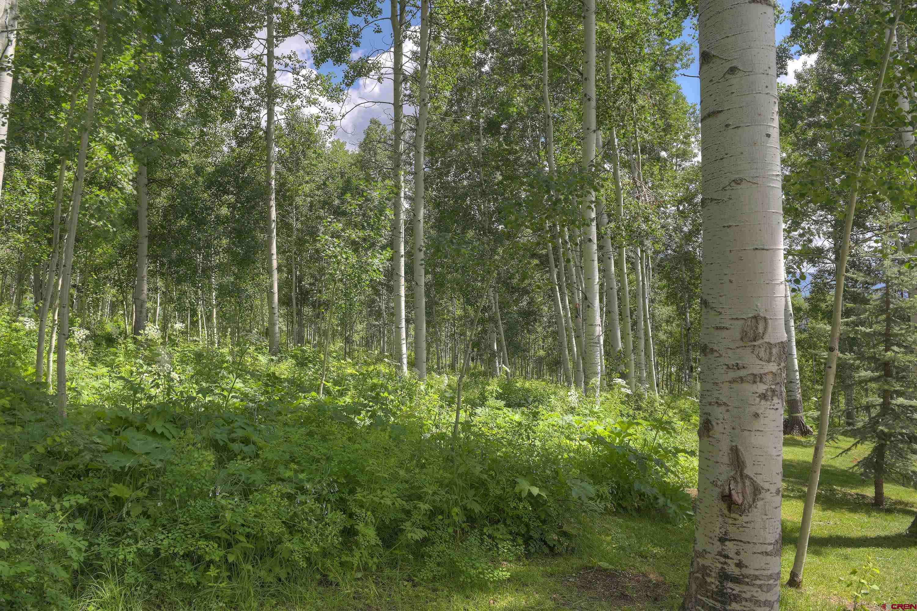 Durango, CO 81301,285 Scotch Creek Drive