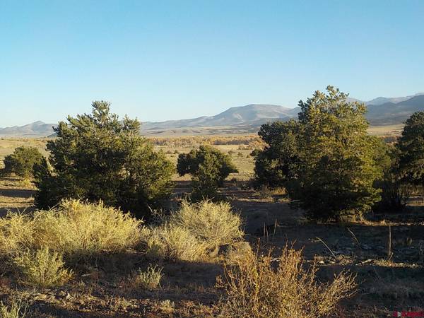 South Fork, CO 81154,770 W Pfieffer Loop