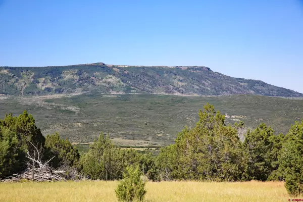 Mesa, CO 81643,8066 Bosque Del Oso Lane