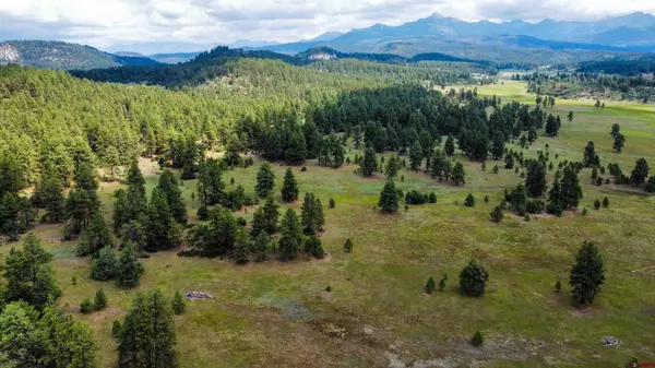 700C Honeybee Place, Pagosa Springs, CO 81147