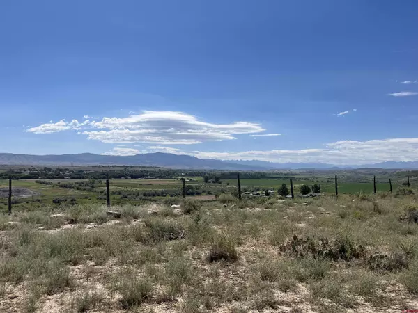 Lot 1 Highway 90, Montrose, CO 81403