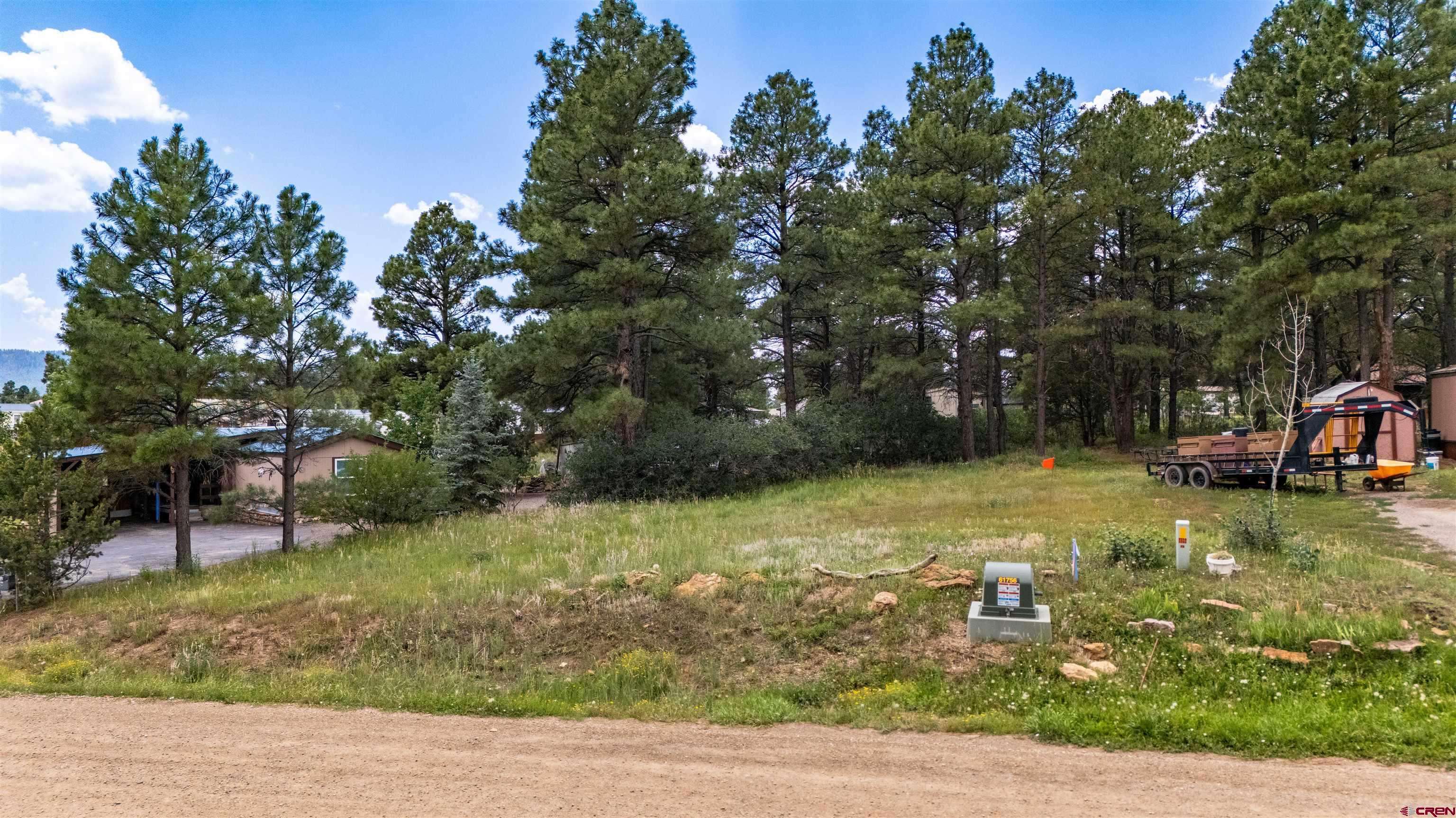 234 Fireside Street, Pagosa Springs, CO 81147