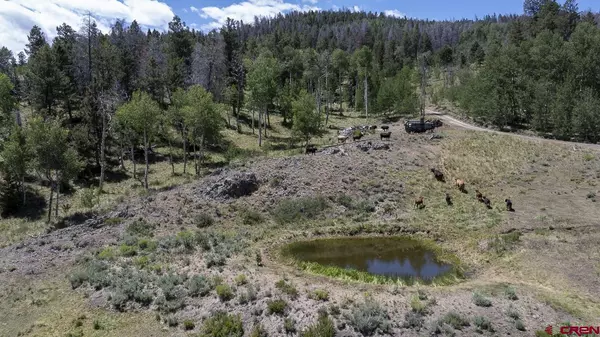 Gunnison, CO 81230,42460 County Road 6-YY