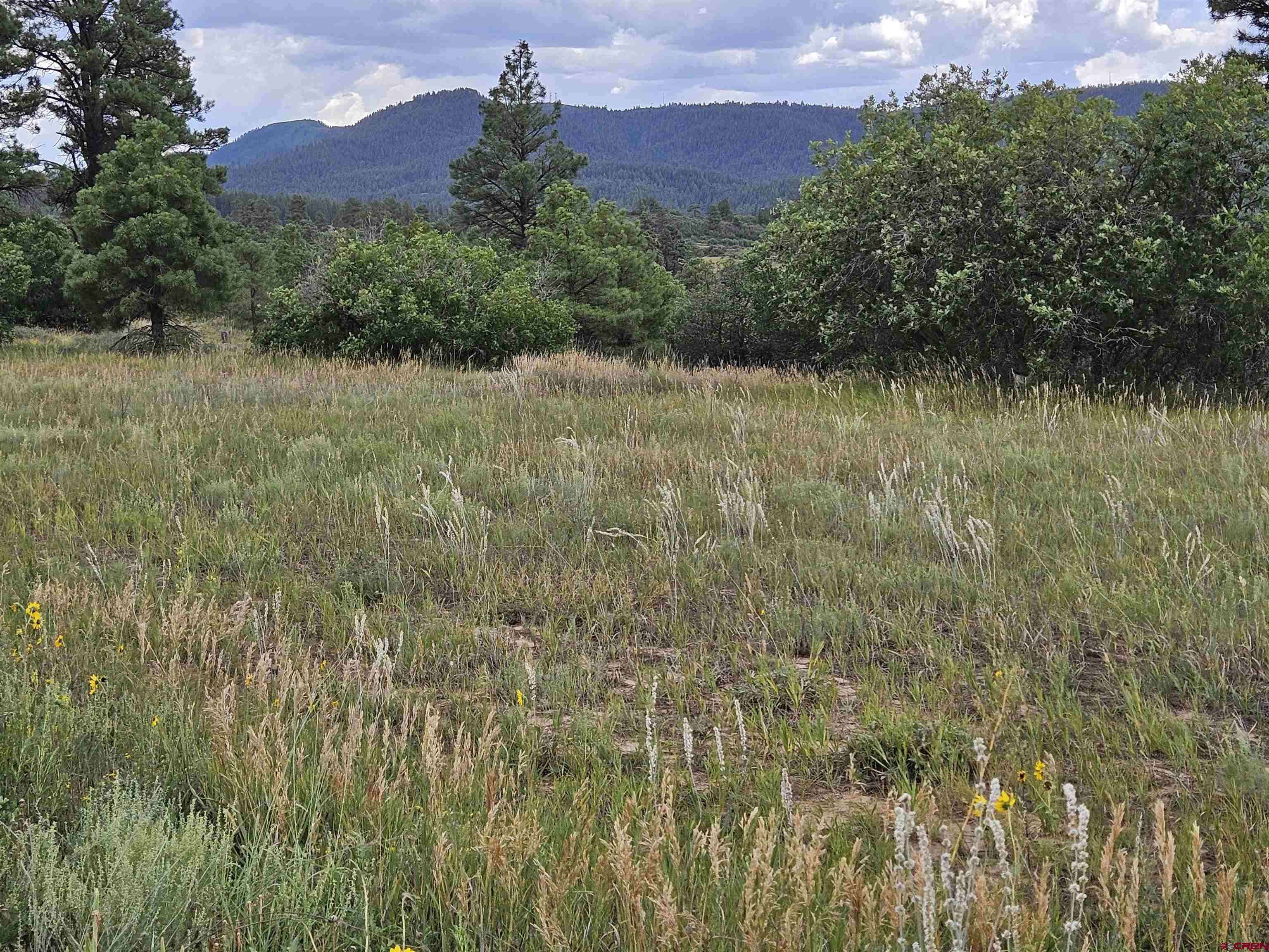 250 Prospect Boulevard, Pagosa Springs, CO 81147