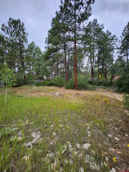 59 Holly Hock Trail, Durango, CO 81303