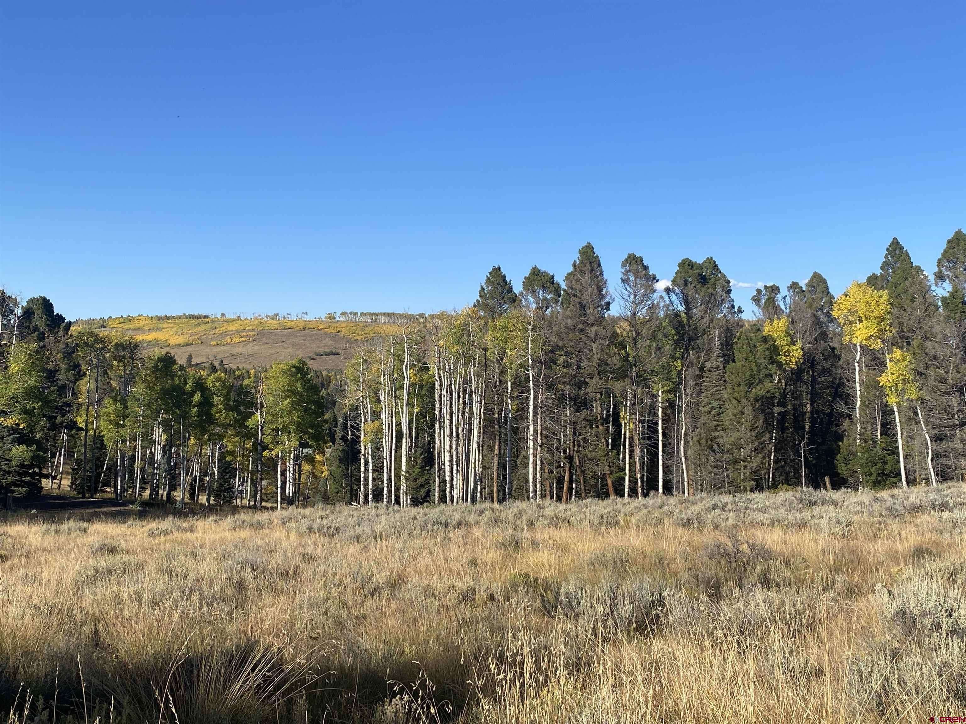 670 Crest Drive, Cimarron, CO 81220