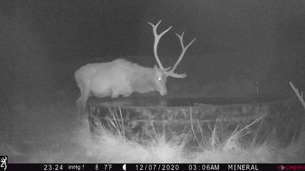 Regina, NM 87046,100 Sawmill Road #Regina Mountain Ranch