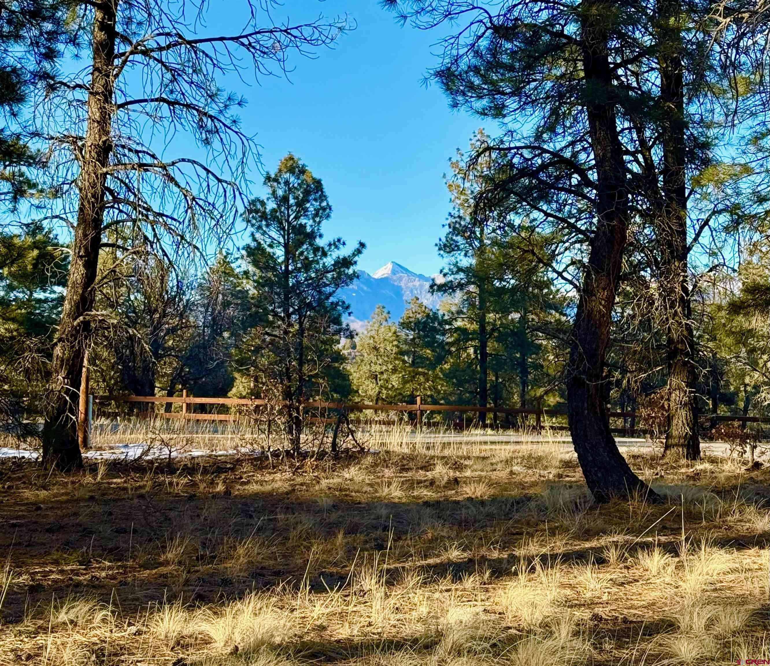 415 Oakbrush Street, Pagosa Springs, CO 81147