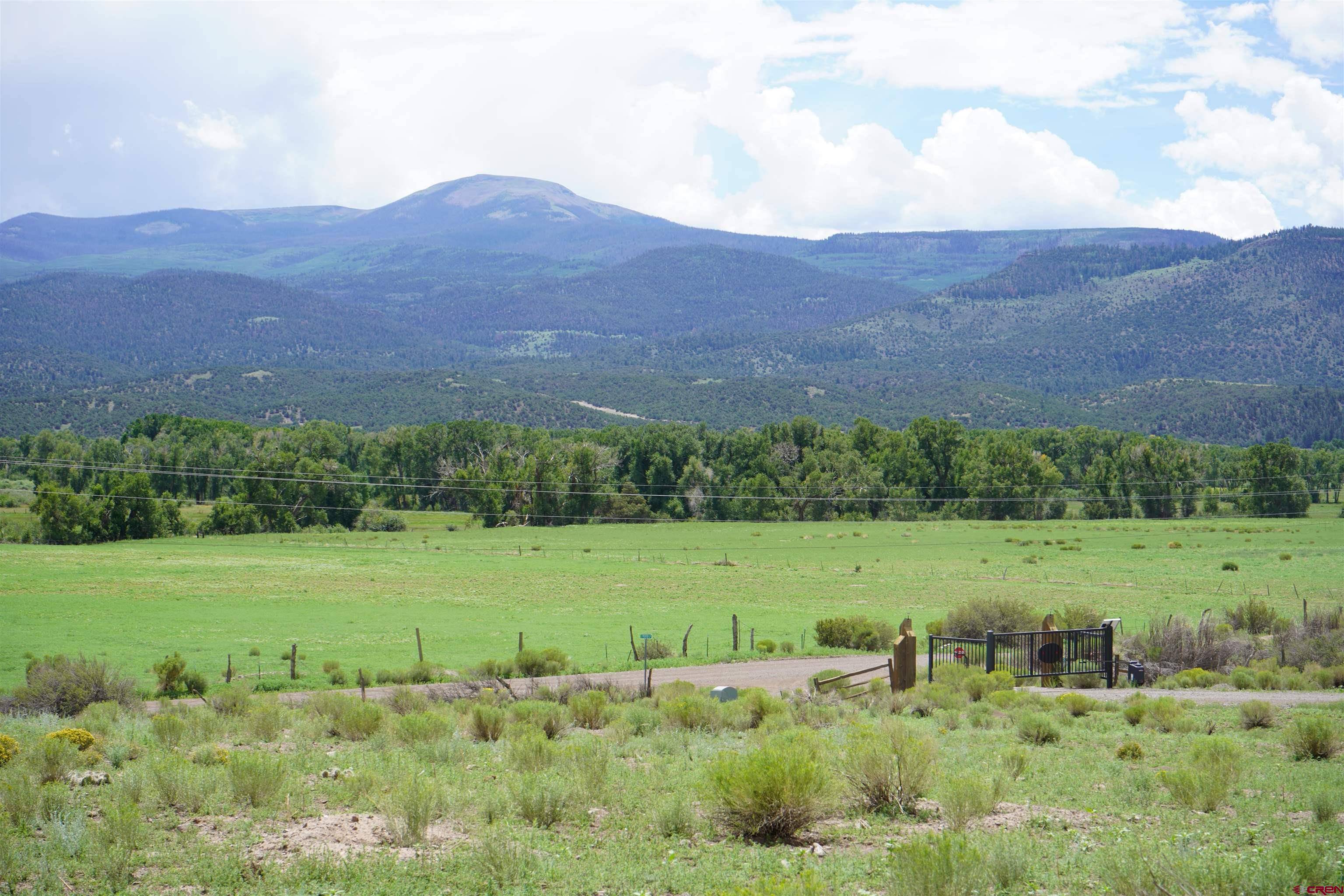 57 E Pfieffer Loop, South Fork, CO 81154