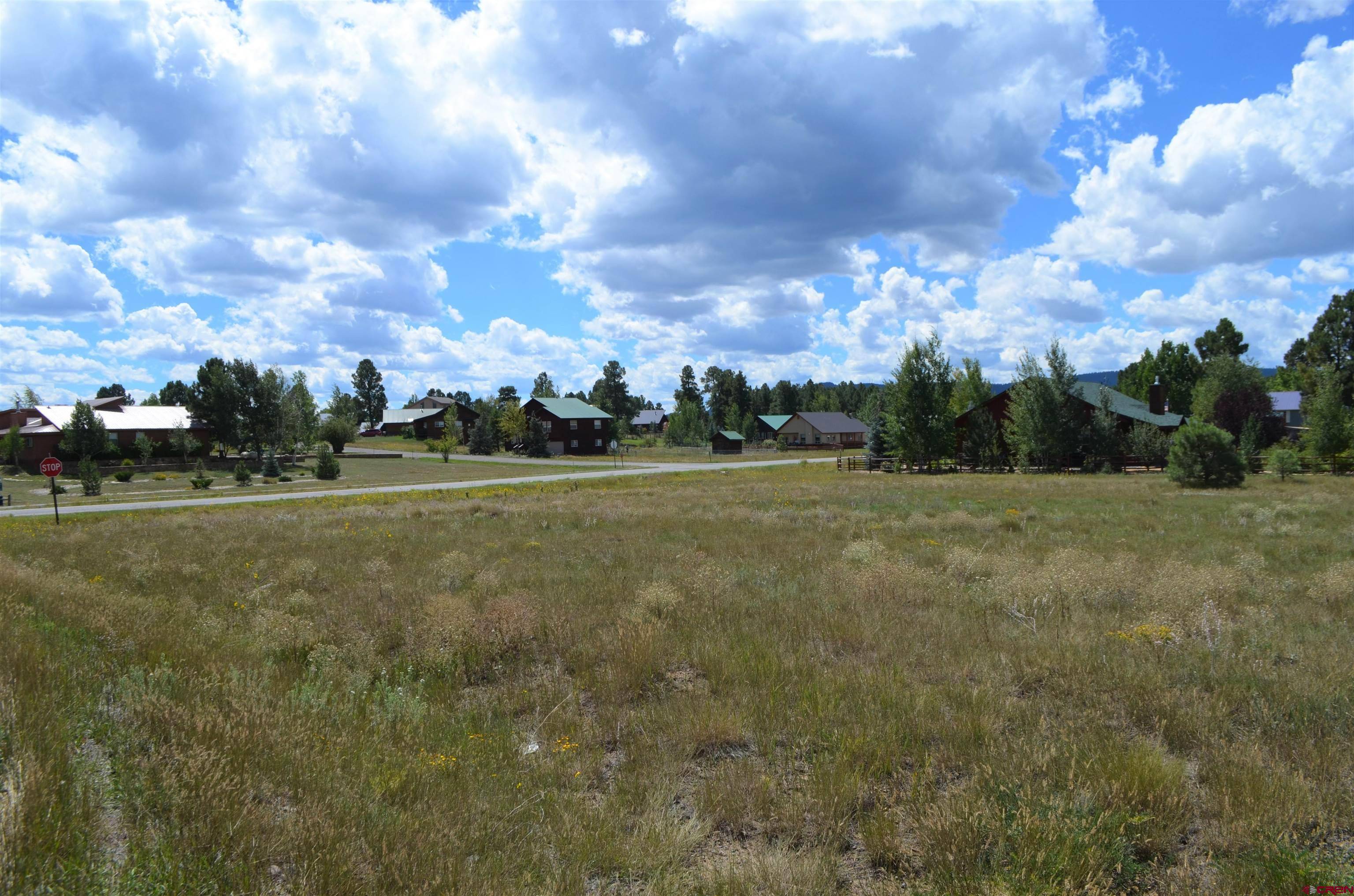 18 Arrowhead Drive, Pagosa Springs, CO 81147
