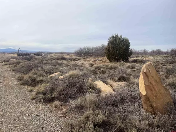 Dove Creek, CO 81324,10119 County Road C