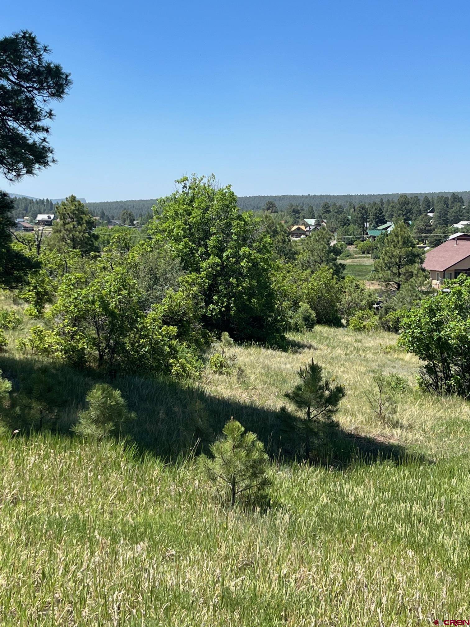269 Dylan Drive, Pagosa Springs, CO 81147