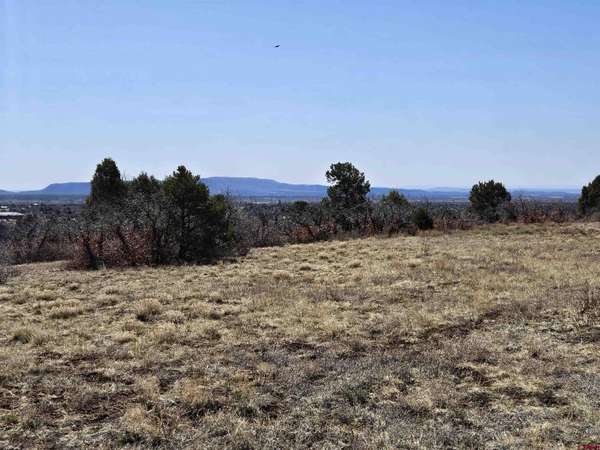 Hesperus, CO 81303,Lot 13 Roberts Ridge Drive