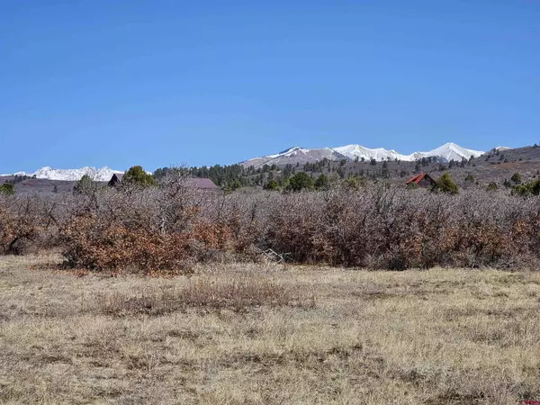 Lot 13 Roberts Ridge Drive, Hesperus, CO 81303