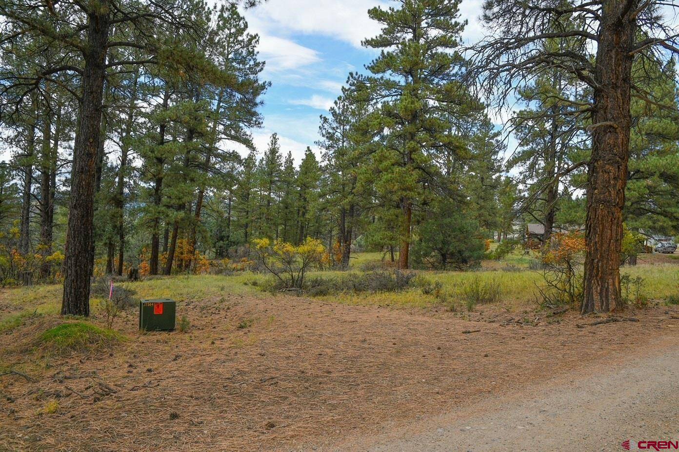 533 Nutria Circle, Pagosa Springs, CO 81147