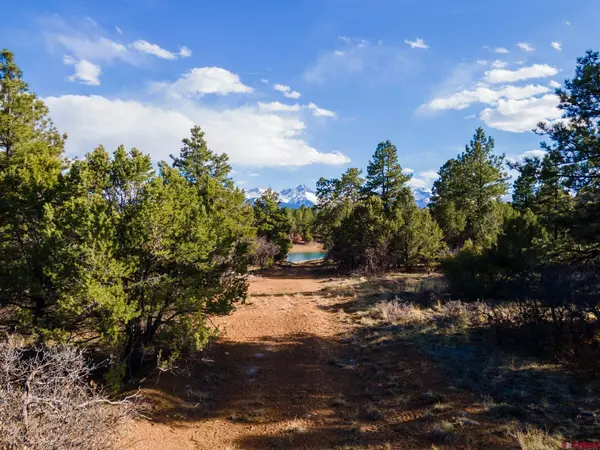 Ridgway, CO 81432,Lot 555 N Badger Trail