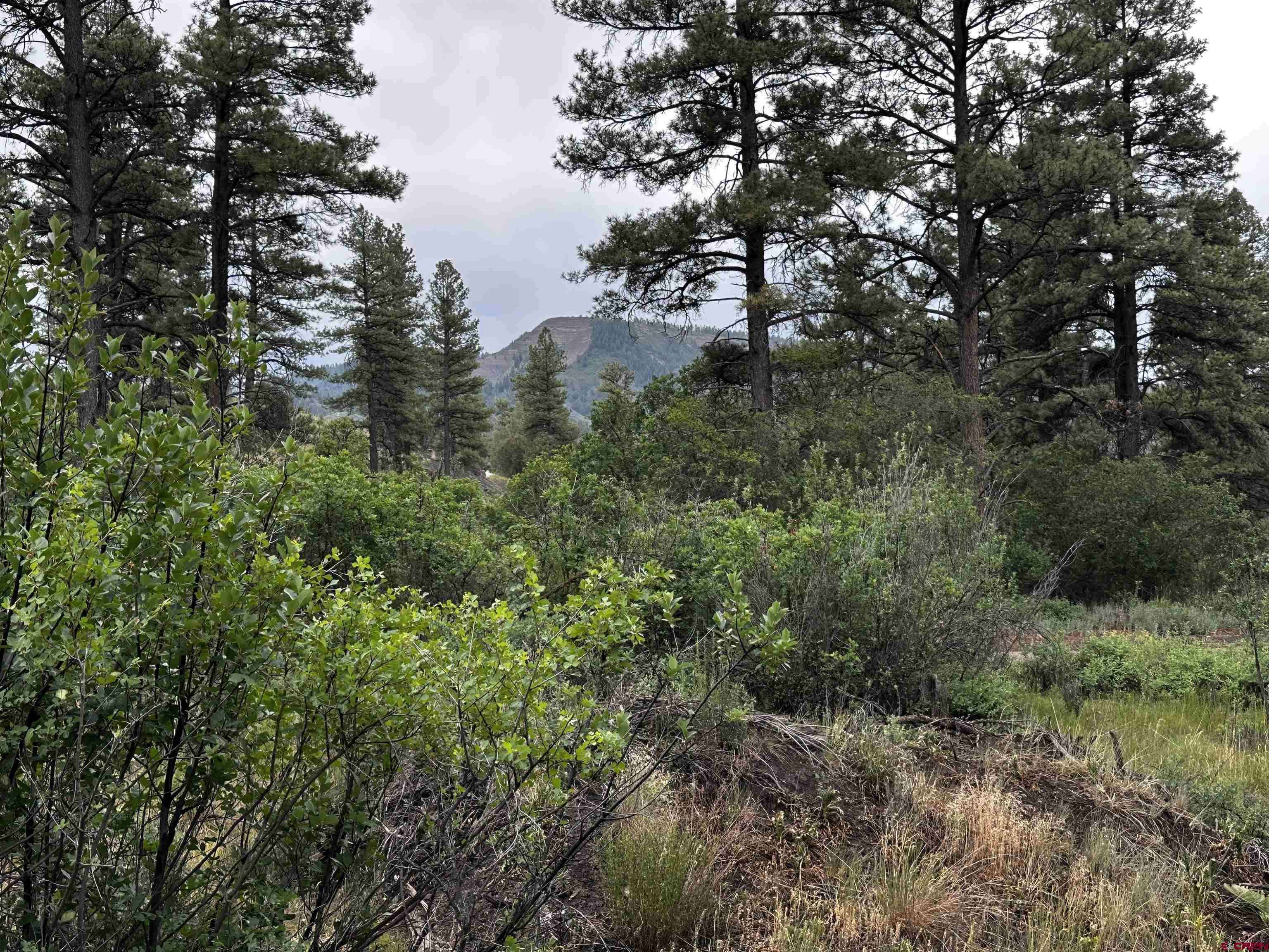 401 Deer Trail, Pagosa Springs, CO 81147